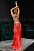 Professional bellydance costume (Classic 345 A_1)